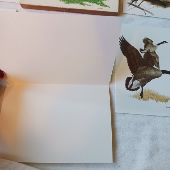 1980 American Wildlife Greeting 8 Cards From Current Vintage w Envelopes & Box - Picture 12 of 16